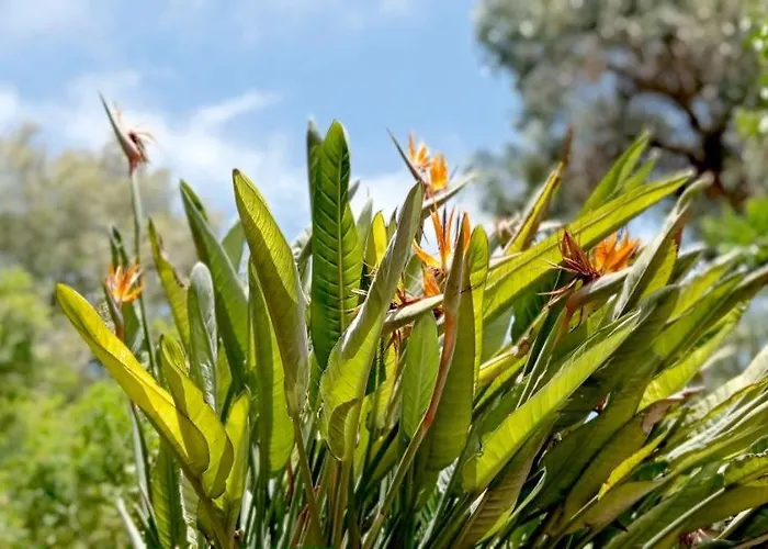 La Casetta Сasa de vacaciones *