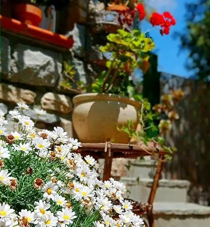 La Casetta בית נופש