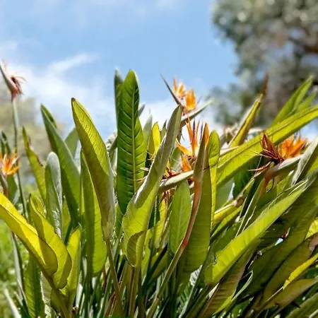 La Casetta בית נופש *