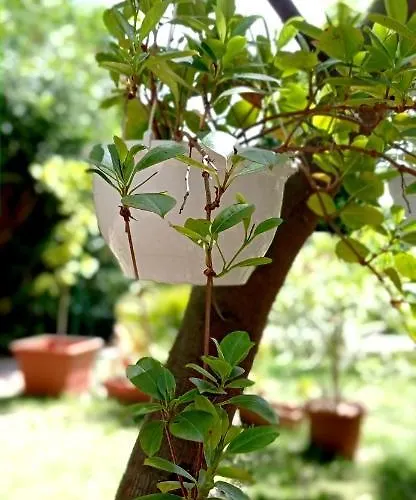 La Casetta Vakantiehuis Mortola Inferiore